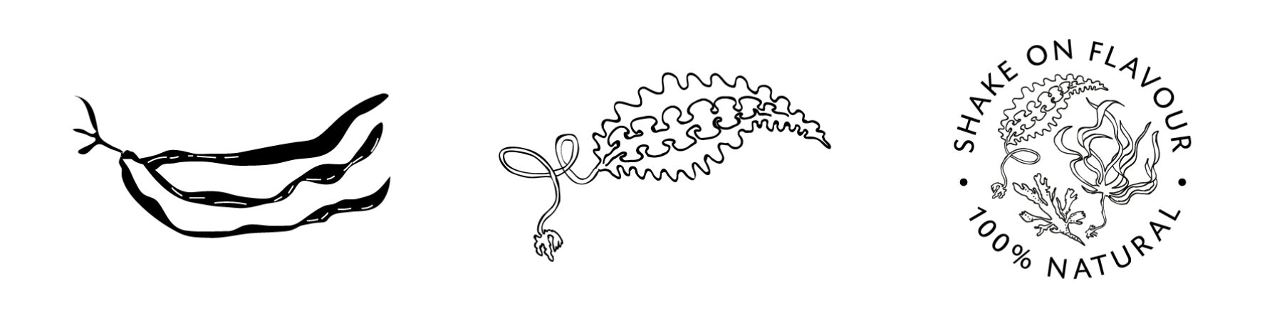 GT web Home case study sketches8 seaweed G